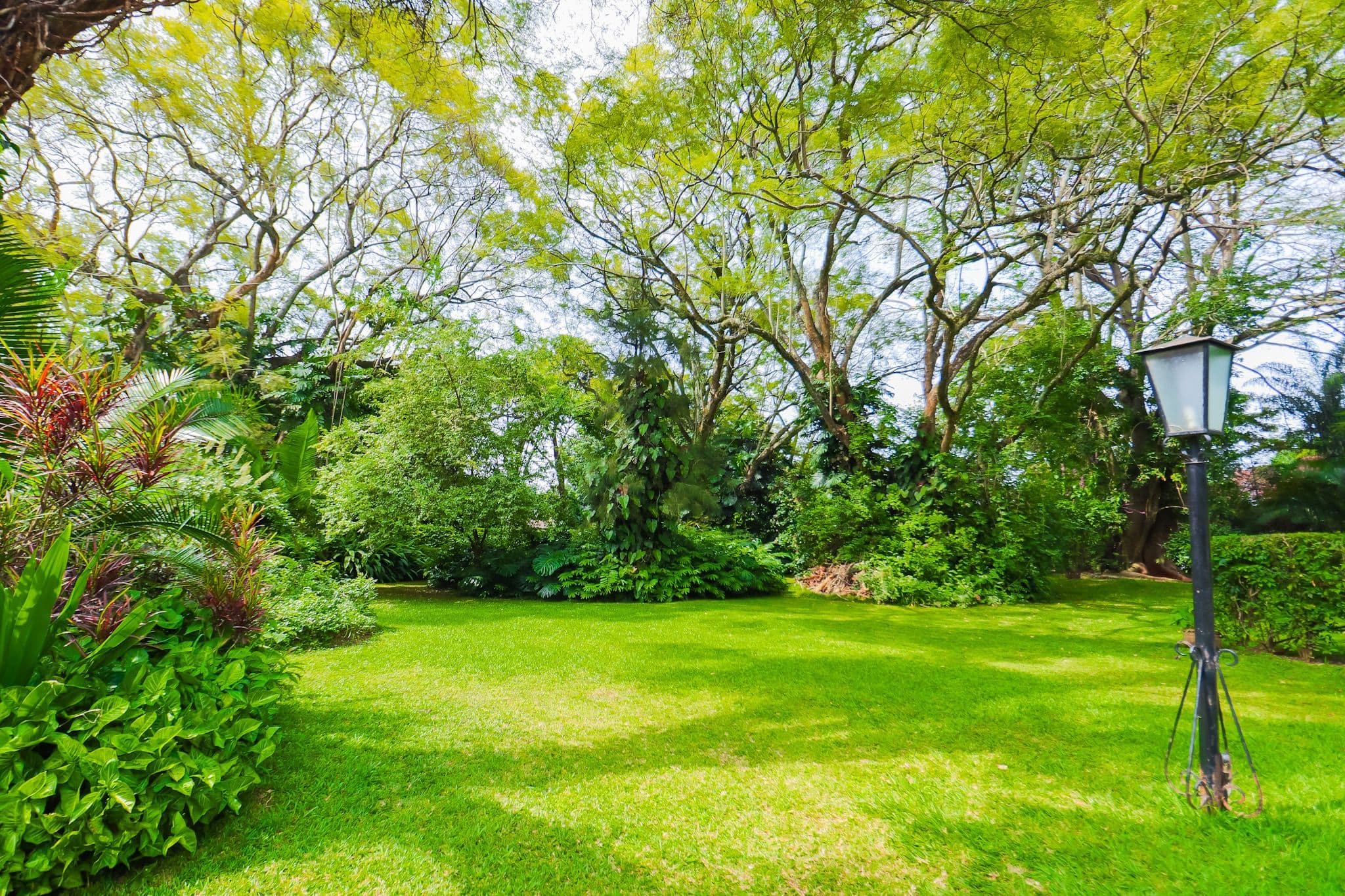 Alkebulan Property image 3