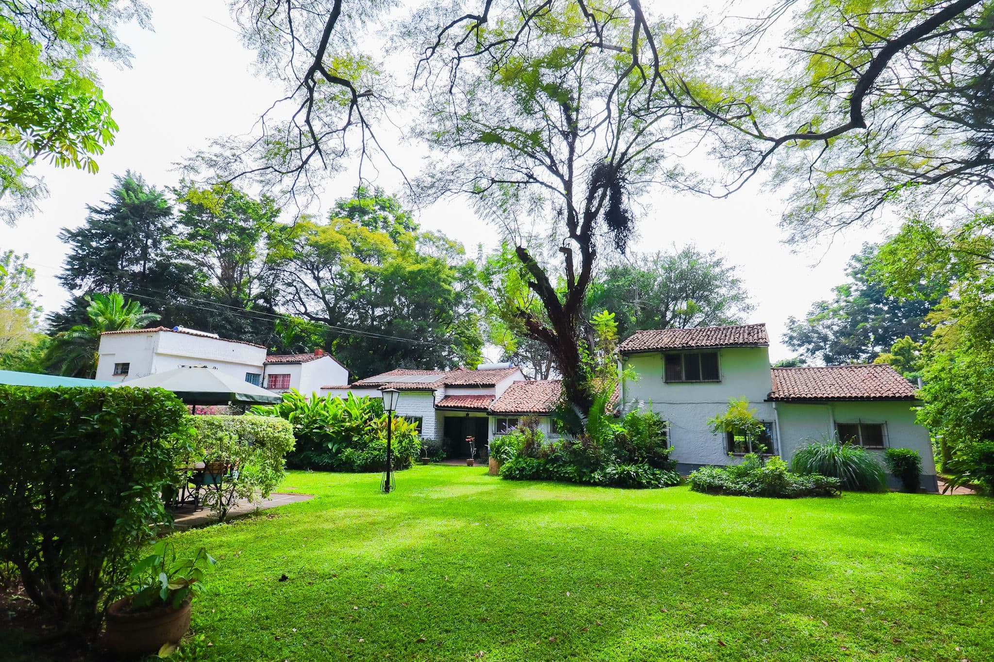 Alkebulan Property image 2